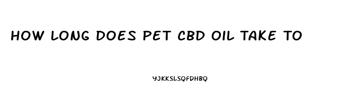 How Long Does Pet Cbd Oil Take To