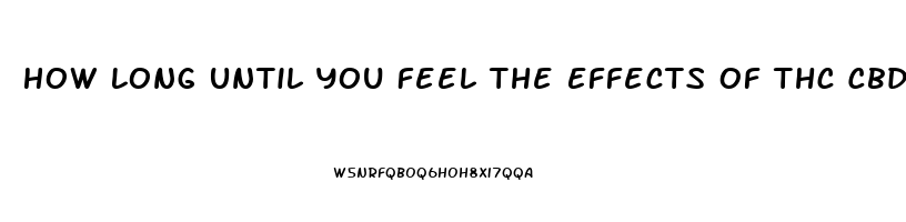 How Long Until You Feel The Effects Of Thc Cbd Oil