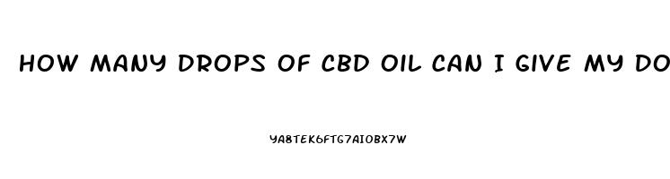 How Many Drops Of Cbd Oil Can I Give My Dog