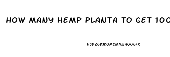 How Many Hemp Planta To Get 100ml Cbd Oil