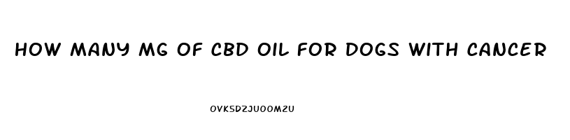 How Many Mg Of Cbd Oil For Dogs With Cancer