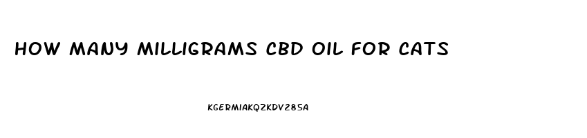 How Many Milligrams Cbd Oil For Cats