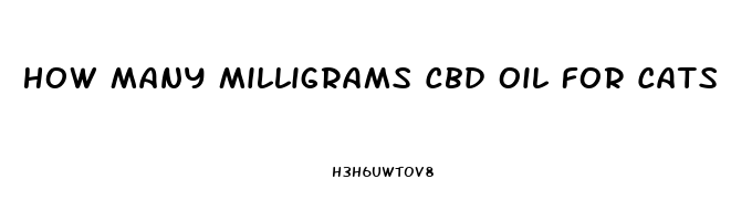 How Many Milligrams Cbd Oil For Cats