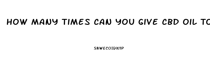 How Many Times Can You Give Cbd Oil To Dogs
