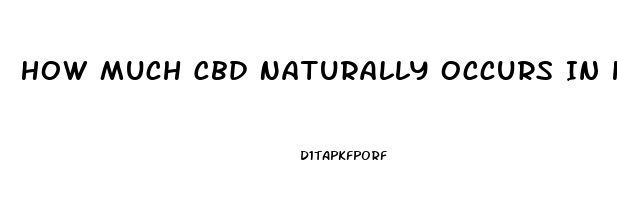 How Much Cbd Naturally Occurs In Hemp Oil