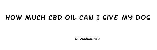 How Much Cbd Oil Can I Give My Dog