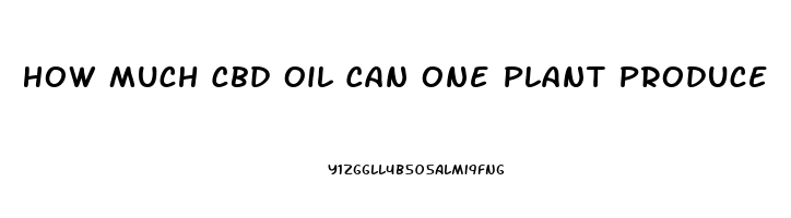 How Much Cbd Oil Can One Plant Produce