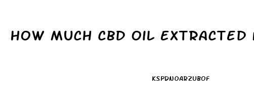 How Much Cbd Oil Extracted From One Plant