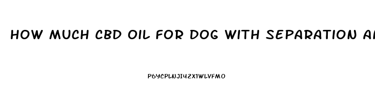 How Much Cbd Oil For Dog With Separation Anxiety