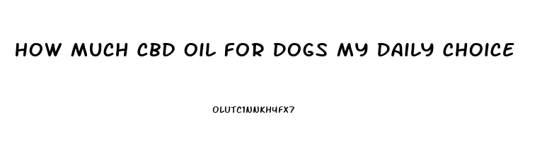 How Much Cbd Oil For Dogs My Daily Choice