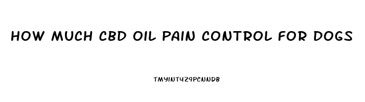 How Much Cbd Oil Pain Control For Dogs