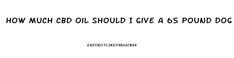 How Much Cbd Oil Should I Give A 65 Pound Dog