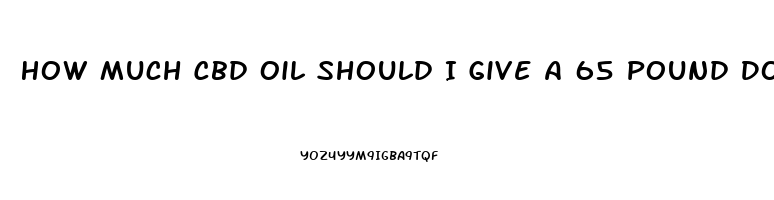 How Much Cbd Oil Should I Give A 65 Pound Dog