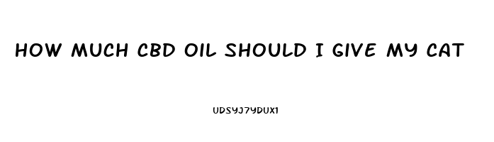 How Much Cbd Oil Should I Give My Cat