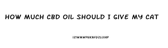 How Much Cbd Oil Should I Give My Cat