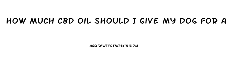 How Much Cbd Oil Should I Give My Dog For Anxiety