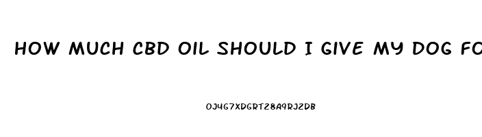 How Much Cbd Oil Should I Give My Dog For Arthritis Holistic Hound