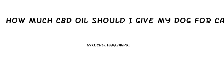 How Much Cbd Oil Should I Give My Dog For Cancer