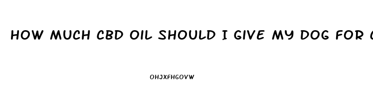 How Much Cbd Oil Should I Give My Dog For Cancer