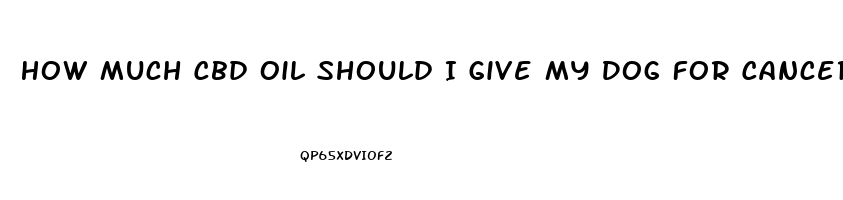 How Much Cbd Oil Should I Give My Dog For Cancer