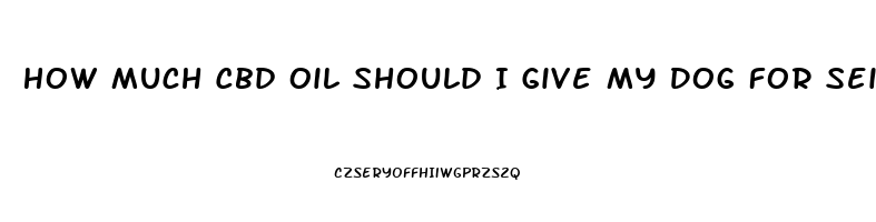 How Much Cbd Oil Should I Give My Dog For Seizures