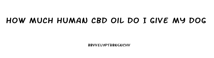 How Much Human Cbd Oil Do I Give My Dog