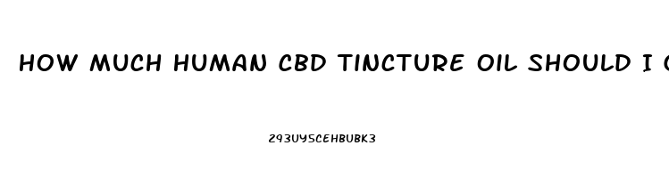 How Much Human Cbd Tincture Oil Should I Give My Dog