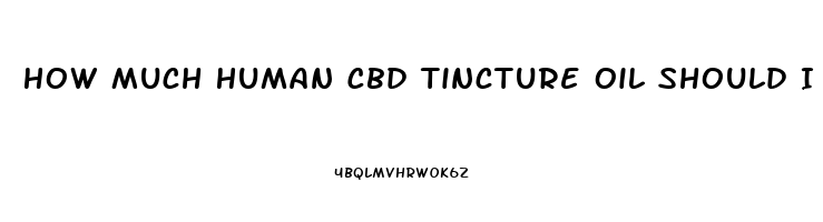 How Much Human Cbd Tincture Oil Should I Give My Dog