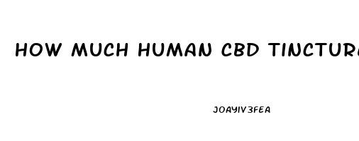 How Much Human Cbd Tincture Oil Should I Give My Dog