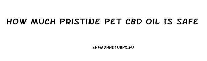 How Much Pristine Pet Cbd Oil Is Safe