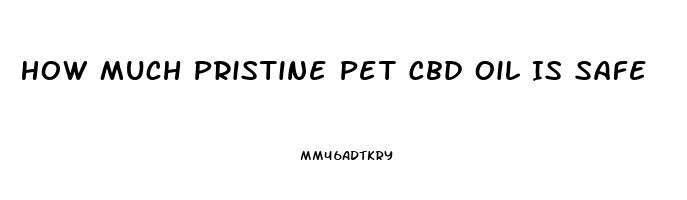 How Much Pristine Pet Cbd Oil Is Safe