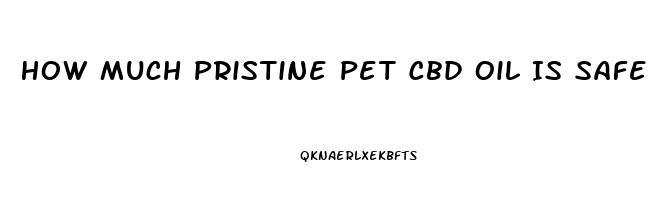 How Much Pristine Pet Cbd Oil Is Safe