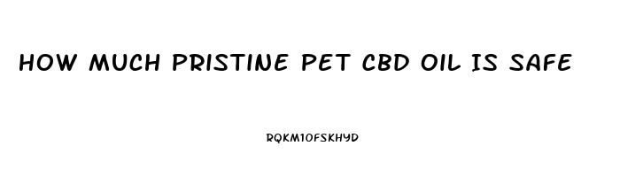 How Much Pristine Pet Cbd Oil Is Safe