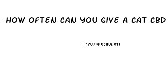 How Often Can You Give A Cat Cbd Oil