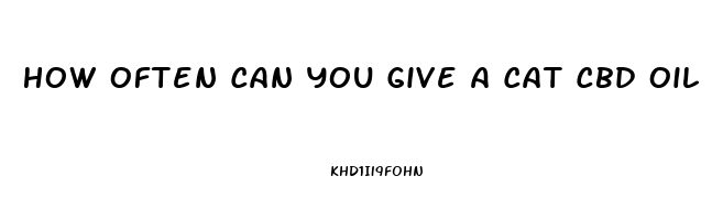 How Often Can You Give A Cat Cbd Oil