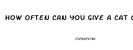 How Often Can You Give A Cat Cbd Oil