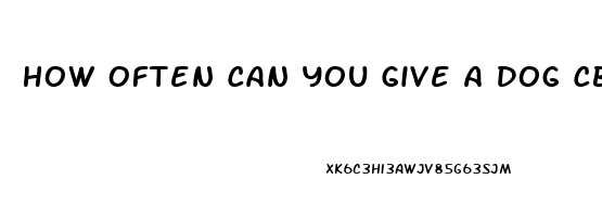 How Often Can You Give A Dog Cbd Oil