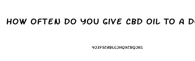 How Often Do You Give Cbd Oil To A Dog