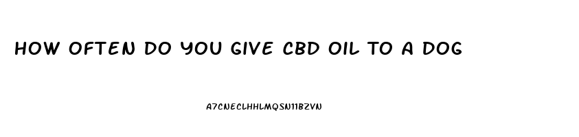 How Often Do You Give Cbd Oil To A Dog