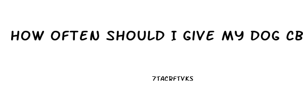 How Often Should I Give My Dog Cbd Oil