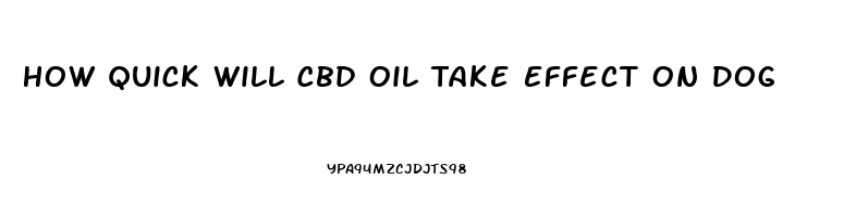 How Quick Will Cbd Oil Take Effect On Dog