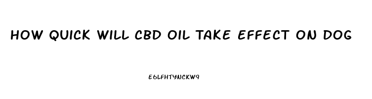 How Quick Will Cbd Oil Take Effect On Dog