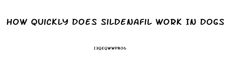 How Quickly Does Sildenafil Work In Dogs