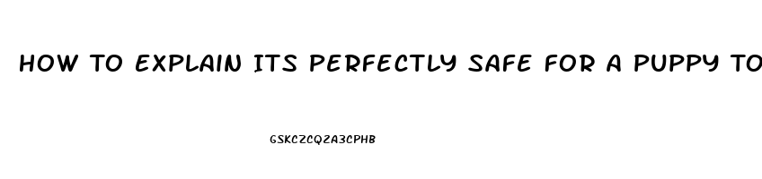 How To Explain Its Perfectly Safe For A Puppy To Have Cbd Oil