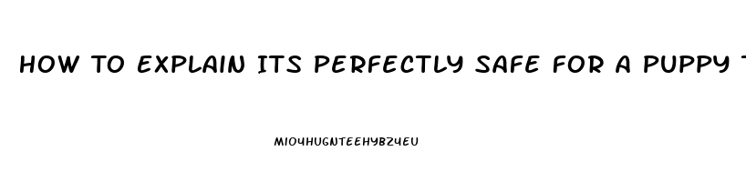 How To Explain Its Perfectly Safe For A Puppy To Have Cbd Oil