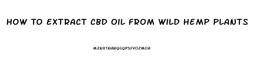 How To Extract Cbd Oil From Wild Hemp Plants