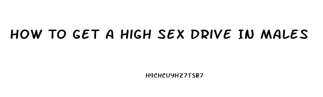 How To Get A High Sex Drive In Males