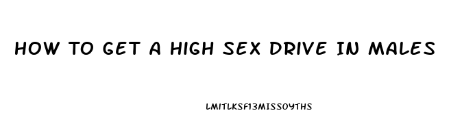 How To Get A High Sex Drive In Males