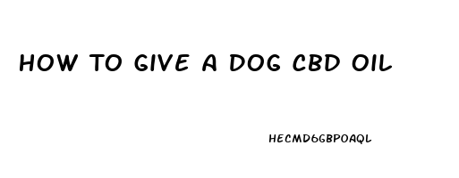 How To Give A Dog Cbd Oil