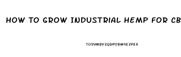 How To Grow Industrial Hemp For Cbd Oil